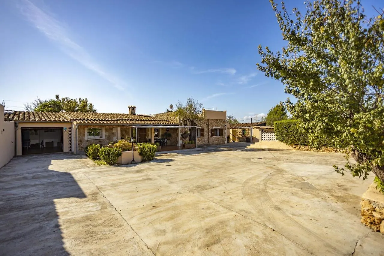 Gospodarstwo wiejskie Finca Can Tomeu 454